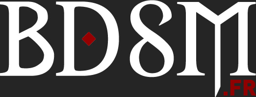 Logo BDSM.fr